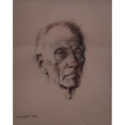 719 - Arthur Ralph Middleton Todd (British 1891-1966) - Head study of an old man, conte on paper, signed l... 