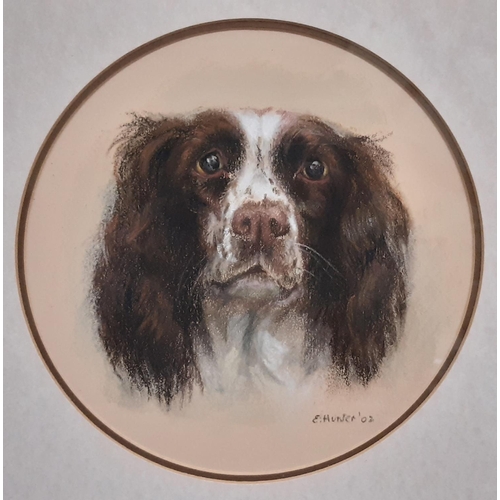 723 - E. Hunter (20th Century) - Three portraits of dogs: 'Tigger', oil on canvas; Spaniel with fern leave... 