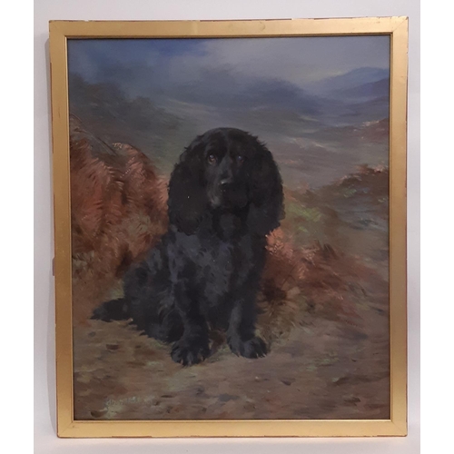 726 - Lilian Cheviot (British, 1876-1936) - Portrait of a Spaniel on the Moors, oil on canvas, signed lowe... 