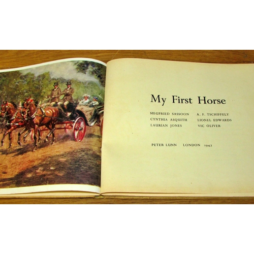 804 - Equestrian interest - 8 books to include From Colonel to Subaltern (1928) Riding Recollections (1894... 