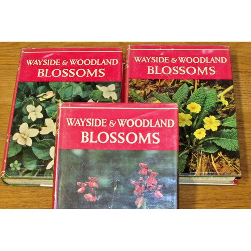 807 - 30+ volumes on British and other flora including Wayside and Woodland Blossoms by Edward Step (3 vol... 