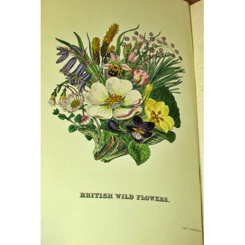 827 - Collection of late 19th / early 20th century books on flora and botany of the British Isles (26) inc... 