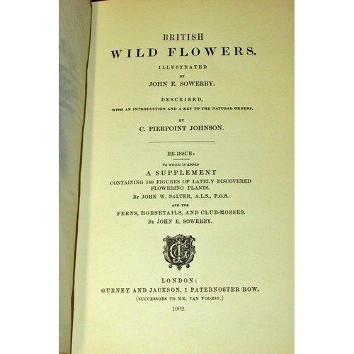 827 - Collection of late 19th / early 20th century books on flora and botany of the British Isles (26) inc... 