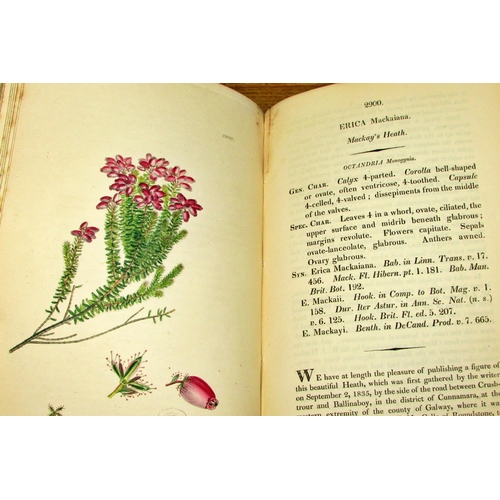 832 - English Botany or Coloured Figures of British Plants with their Essential Characters, Synonyms and P... 