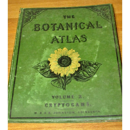 841 - The Botanical Atlas, A Guide to the Practical Study of Plants (1883) (2 volumes) and  Darwin's Ferti... 