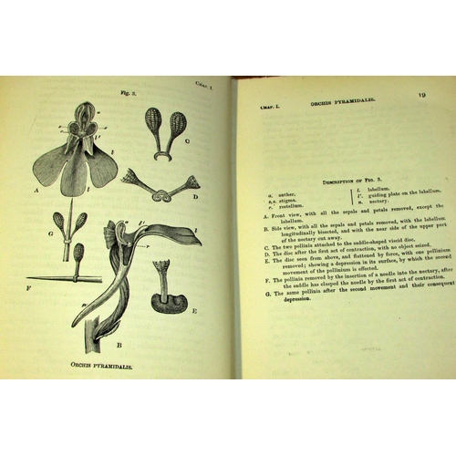 841 - The Botanical Atlas, A Guide to the Practical Study of Plants (1883) (2 volumes) and  Darwin's Ferti... 