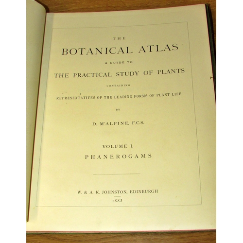 841 - The Botanical Atlas, A Guide to the Practical Study of Plants (1883) (2 volumes) and  Darwin's Ferti... 