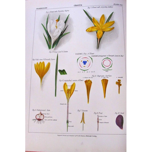 841 - The Botanical Atlas, A Guide to the Practical Study of Plants (1883) (2 volumes) and  Darwin's Ferti... 