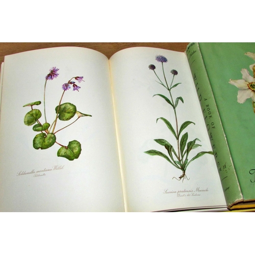 850 - Collection of illustrated books relating to flora of the British Isles, including Drawings of Britis... 