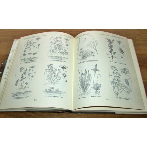 850 - Collection of illustrated books relating to flora of the British Isles, including Drawings of Britis... 