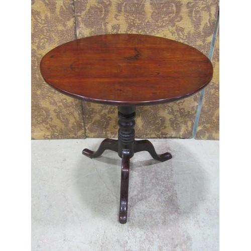 1225 - A 19th century mahogany snap top occasional table of oval form raised on a turned pillar and swept t... 