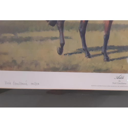 755 - Neil Cawthorne - 'Arkle', limited edition colour print, signed below by the artist and Pat Taaffe, n... 