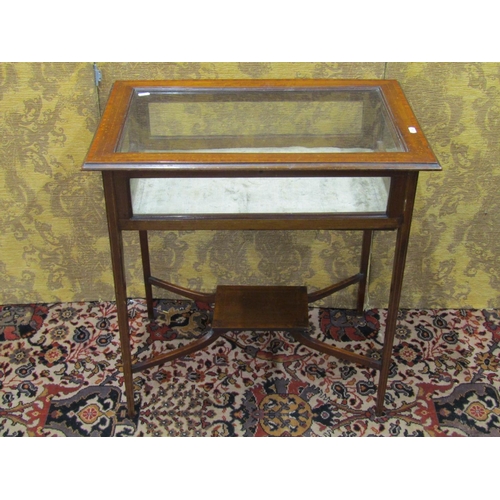 1507 - An Edwardian mahogany rectangular vitrine with glazed panelled top and sides, raised on square taper... 