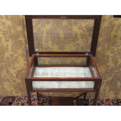 1507 - An Edwardian mahogany rectangular vitrine with glazed panelled top and sides, raised on square taper... 