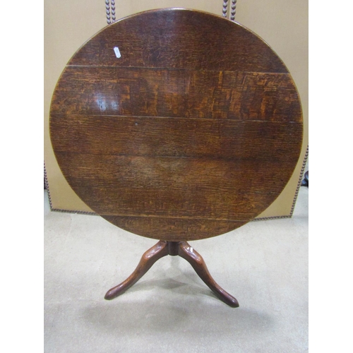 1305 - A 19th century oak snap top occasional table of circular form raised on a turned pillar and swept tr... 