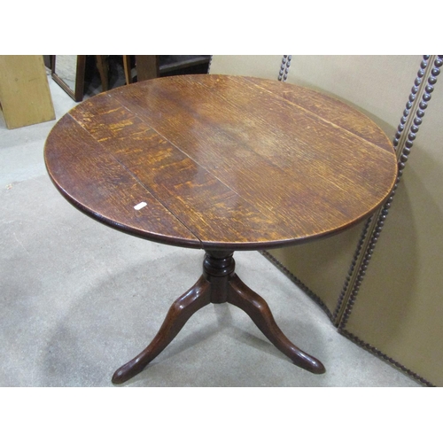 1305 - A 19th century oak snap top occasional table of circular form raised on a turned pillar and swept tr... 