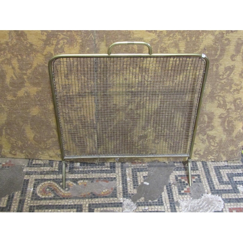 1074 - A small 19th century wirework fender with brass rail and curb, 31 cm high x 76 cm wide x 34 cm deep ... 