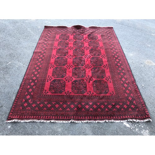 1592 - Large Afghan type rug with elephant foot design in deep red with black details, hand-knotted in wool... 