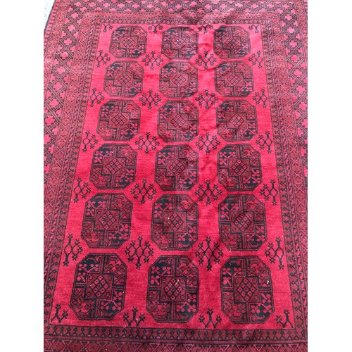 1592 - Large Afghan type rug with elephant foot design in deep red with black details, hand-knotted in wool... 