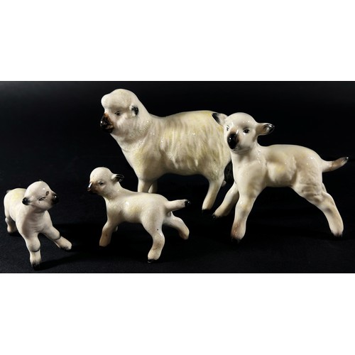 71 - A collection of Beswick porcelain animals to include two pigs, a ewe and three lambs