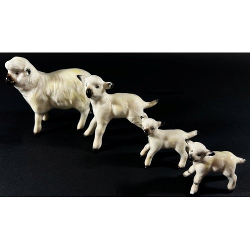 71 - A collection of Beswick porcelain animals to include two pigs, a ewe and three lambs