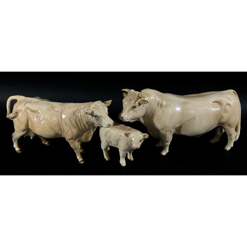 63 - A Beswick porcelain model of a Charolais bull, cow and calf (3