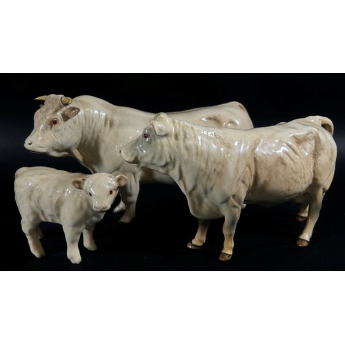 63 - A Beswick porcelain model of a Charolais bull, cow and calf (3