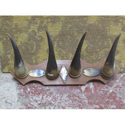 A wall mounted cow horn coat rack/hanger with shaped plaque, 50cm x 12cm