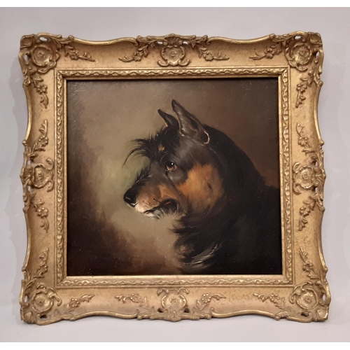 644 - British School, Early 20th Century - Study of a Terrier in Profile, unsigned, oil on board, 23 x 25 ... 