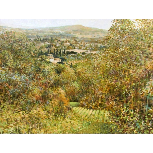 665 - Keith Dunkley (British, b.1942) - Continental rural view into the valley form atop a hill, signed lo... 