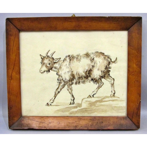 678 - 18th century Continental School - Study of a goat, pen and wash, 18 x 22 cm, glazed in maple veneer ... 