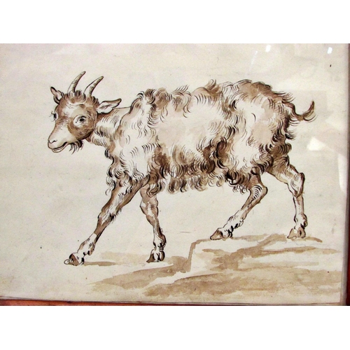 678 - 18th century Continental School - Study of a goat, pen and wash, 18 x 22 cm, glazed in maple veneer ... 