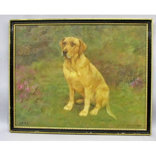 692 - Frances Mabel Hollams (British, 1877-1963) - 'JANE', portrait of a labrador, titled lower left and s... 