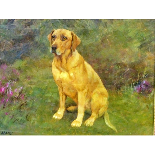 692 - Frances Mabel Hollams (British, 1877-1963) - 'JANE', portrait of a labrador, titled lower left and s... 