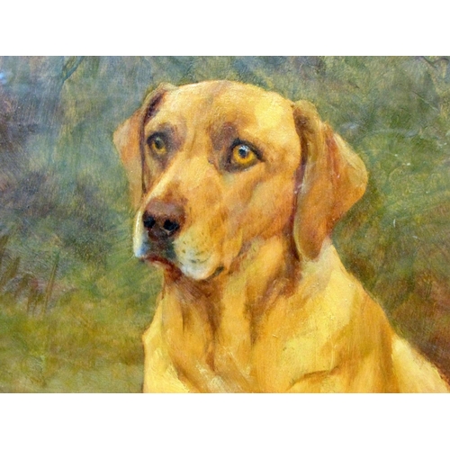 692 - Frances Mabel Hollams (British, 1877-1963) - 'JANE', portrait of a labrador, titled lower left and s... 