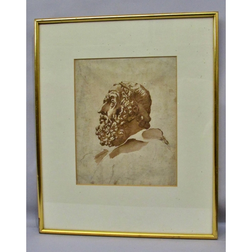 700 - Italian School, c.17th Century - Head study of a bearded man in profile, brown ink on laid paper, 25... 