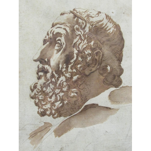 700 - Italian School, c.17th Century - Head study of a bearded man in profile, brown ink on laid paper, 25... 