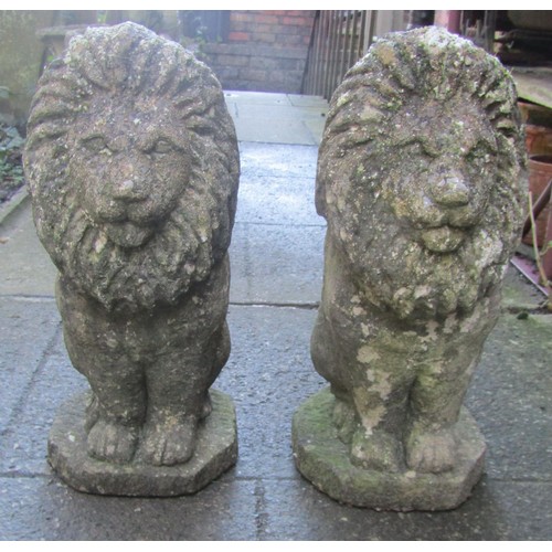 1008 - A pair of weathered  cast composition stone pier/garden ornaments in the form of seated lions, 50 cm... 