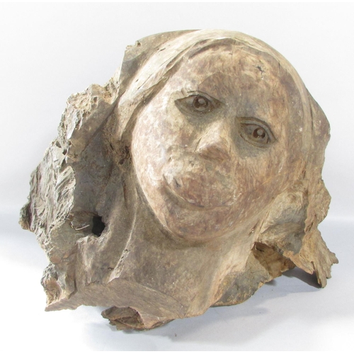 467 - A Sculptured Human Head, carved from a natural piece of wood, 35cm high x 50cm wide.