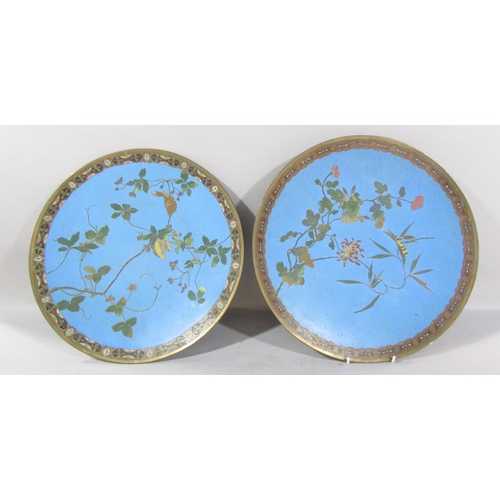 498 - A pair of 19th century cloisonné chargers with bird/wasp and floral decoration on a blue ground, 39c... 