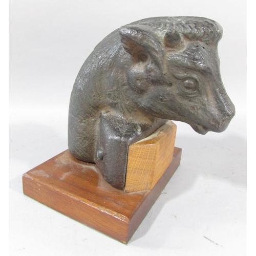 507 - A unusual bronze study of a bull’s head and neck, on a wooden plinth base, 15cm high (combined)