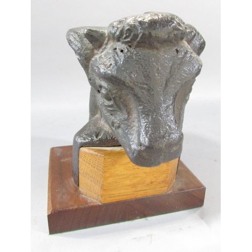 507 - A unusual bronze study of a bull’s head and neck, on a wooden plinth base, 15cm high (combined)