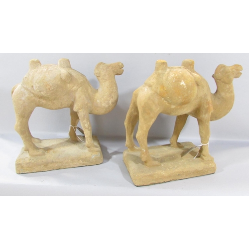 542 - A pair of Chinese terracotta Bactrian Camels, after the Tang originals, 34cm high x 35cm wide.