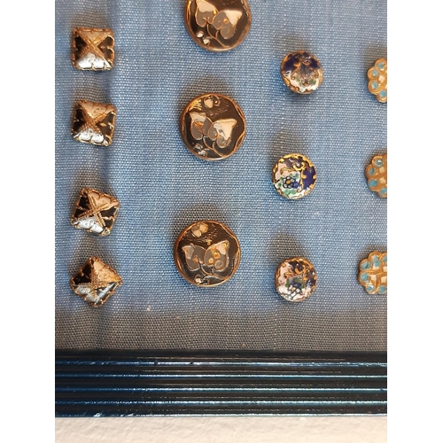 767 - A collection of late 19th to early 20th century small buttons comprising a framed display of enamell... 