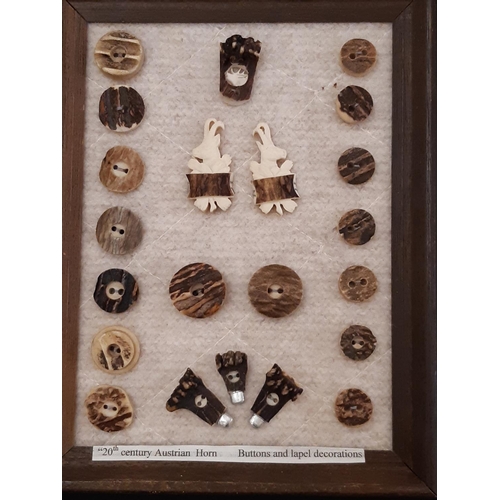 799 - Large collection of 20th century buttons of wood, horn and Corozo nut/ vegetable ivory including nat... 