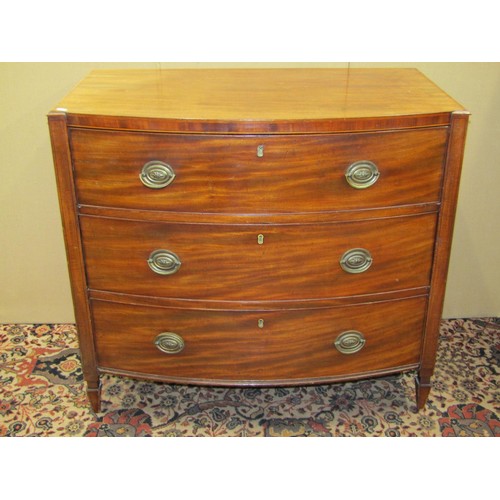 1378 - A Regency mahogany bow fronted chest of three long drawers, on square cut supports with brass plate ... 