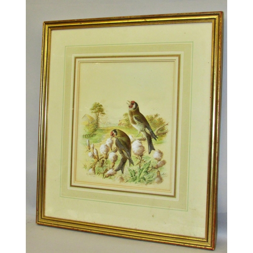 1566 - Henry Bright (1814-1876) - 'Goldfinches' (1889), signed and dated lower left, with title to label ve... 