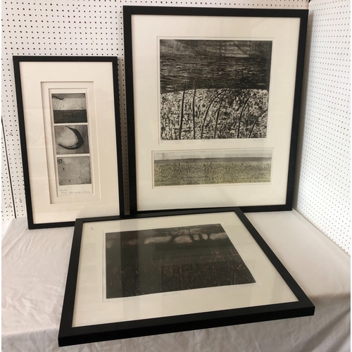 1633 - Three frames of prints to include: Sallie Taylor (local, Cheltenham artist) 'North Sea', artist's pr... 