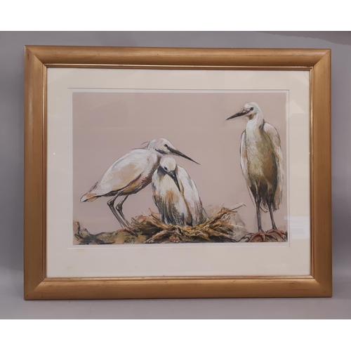 1552A - James Maberly (Contemporary) - Three Heron, signed below, pastel on paper, 59.5 x 42 cm, mounted, gl... 