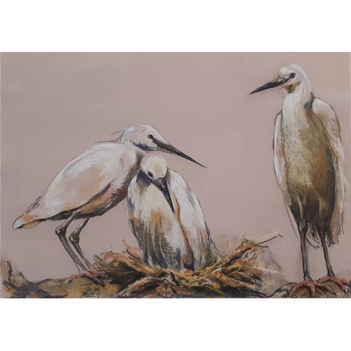 1552A - James Maberly (Contemporary) - Three Heron, signed below, pastel on paper, 59.5 x 42 cm, mounted, gl... 